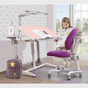 Setting1 PurpleChairPinkDesk 01z z1435063812250.jpg